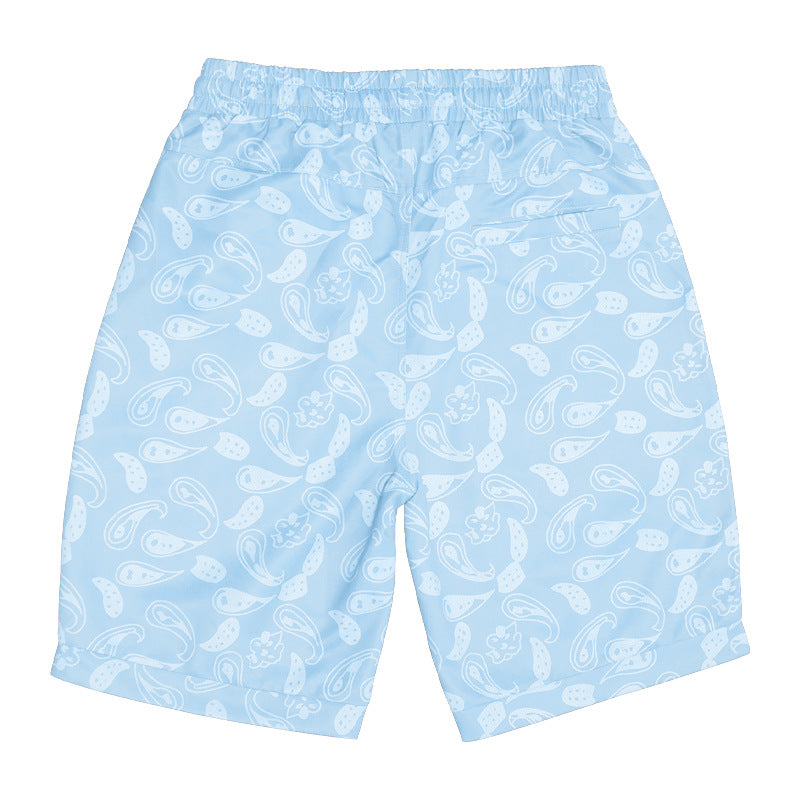 Aule Paisley Drawstring Shorts
