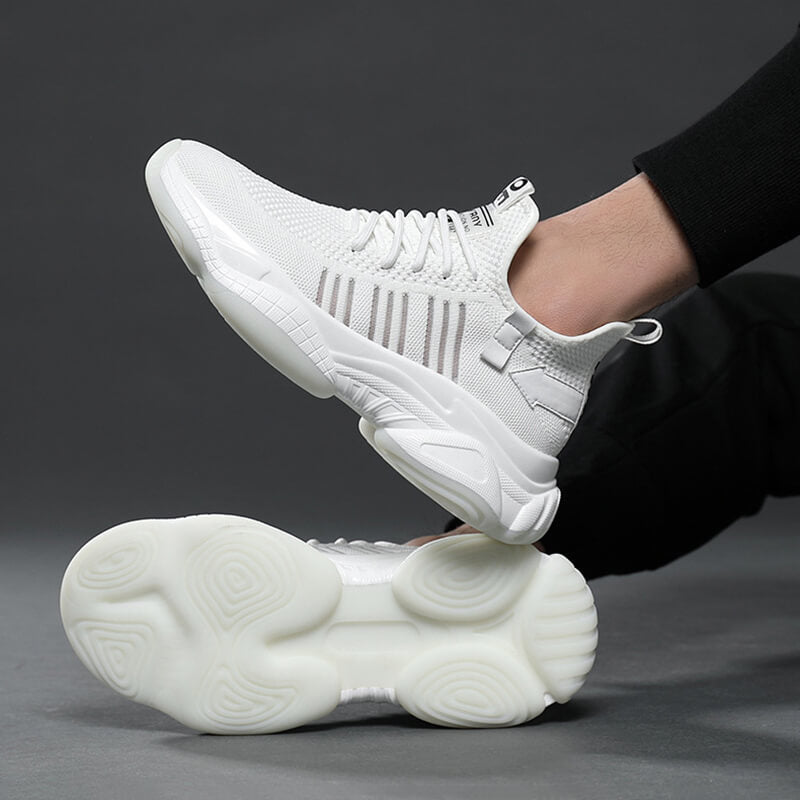 Aule Mesh Men Sneakers