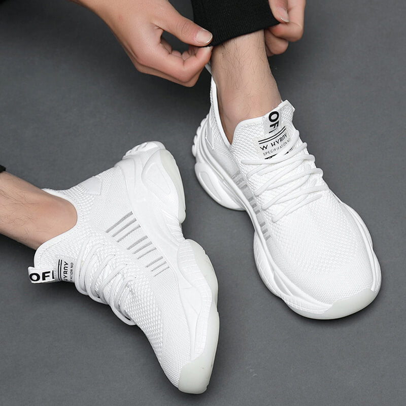 Aule Mesh Men Sneakers