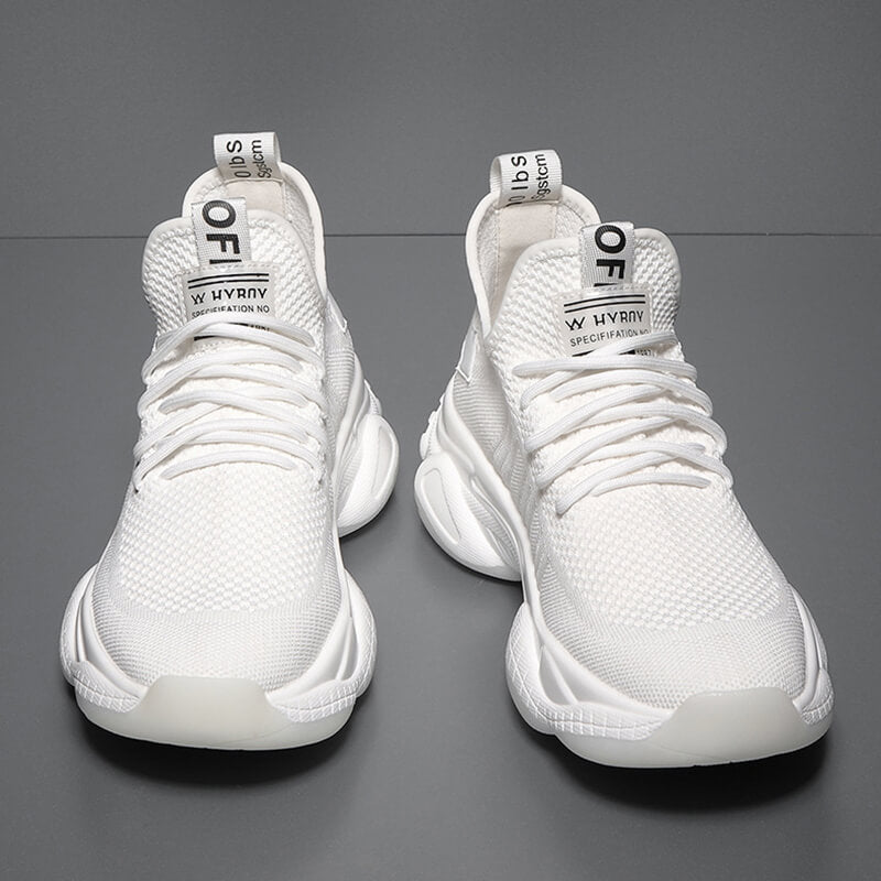 Aule Mesh Men Sneakers