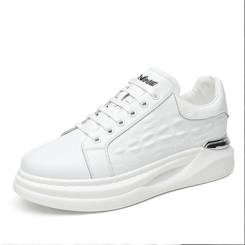 Aule Insider Co Sneakers