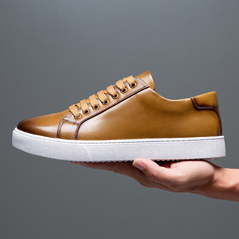 Aule Cognac Classic Sneakers