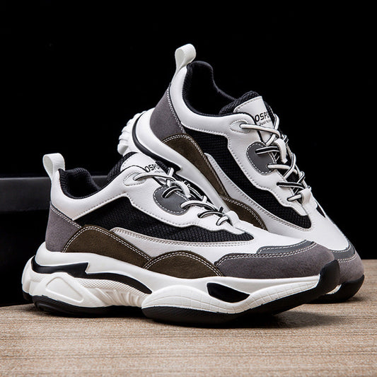 Aule Steel Wave Sneakers