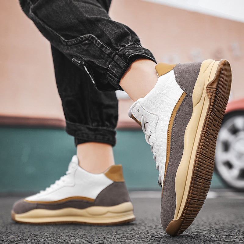 Aule Cloud-Soli Sneakers