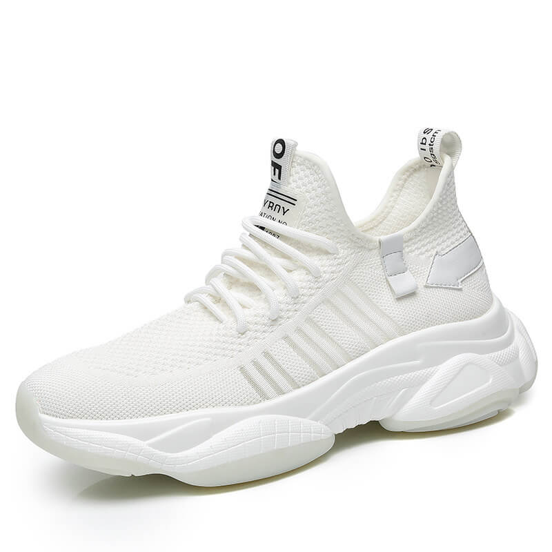 Aule Mesh Men Sneakers